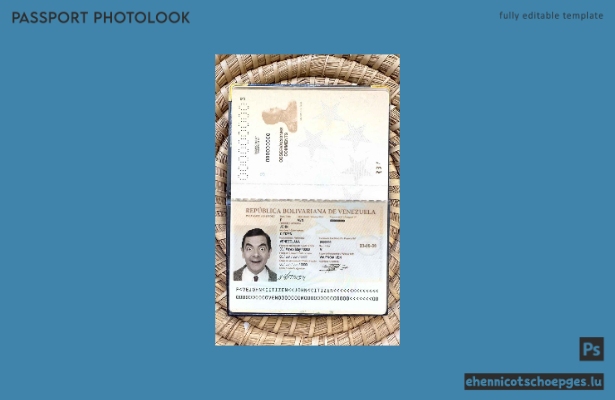 Vorschau eines Passfotos aus Venezuela